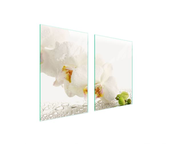 GLASPLADE TIL KØKKEN 65x52 ORCHID