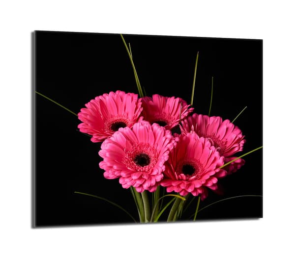 Glasbeskytter til komfur 60x52 Gerbera