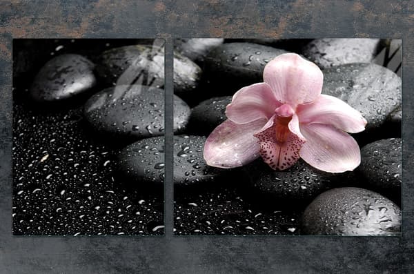 GLASTALLA OCH SKÄRBRÄDA 100x52 ORCHID