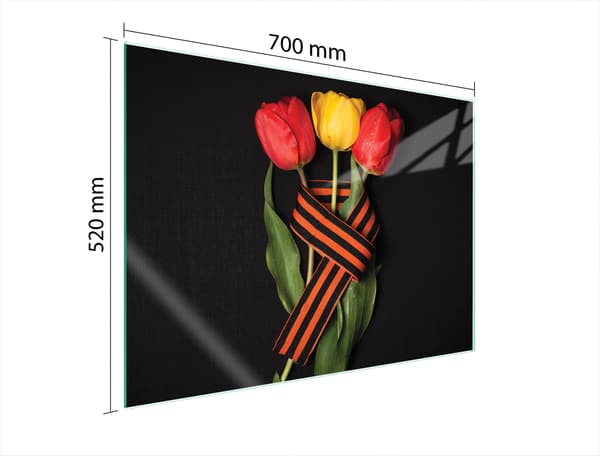 Skyddsplatta för spis i glas 70x52 rosor