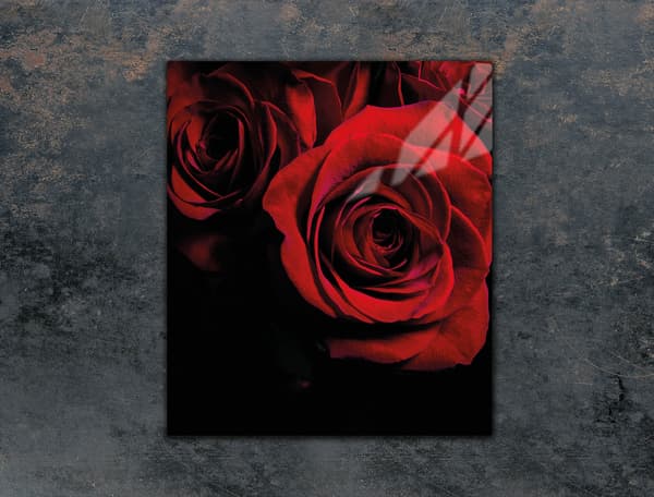 GLASSKÆREBRÆT 45x52 ROSA