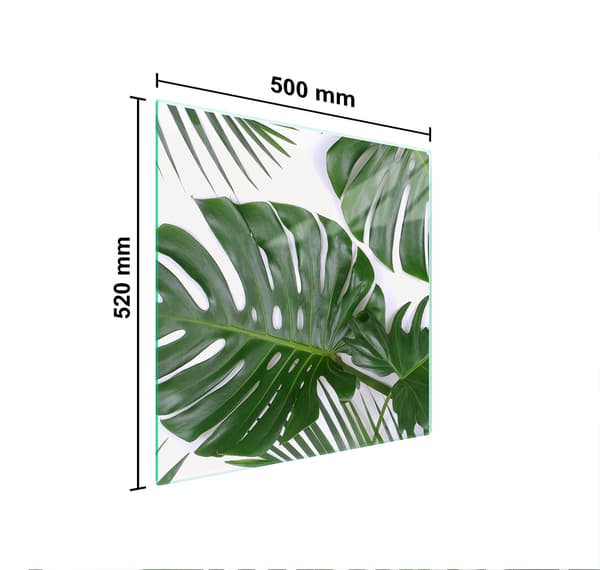 GLASSKYDDSPLÅT FÖR SPIS 50x52 MONSTERA