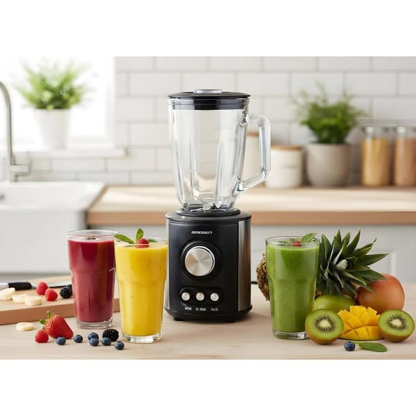 800W BD-751 Berdsen blender med kande, sort