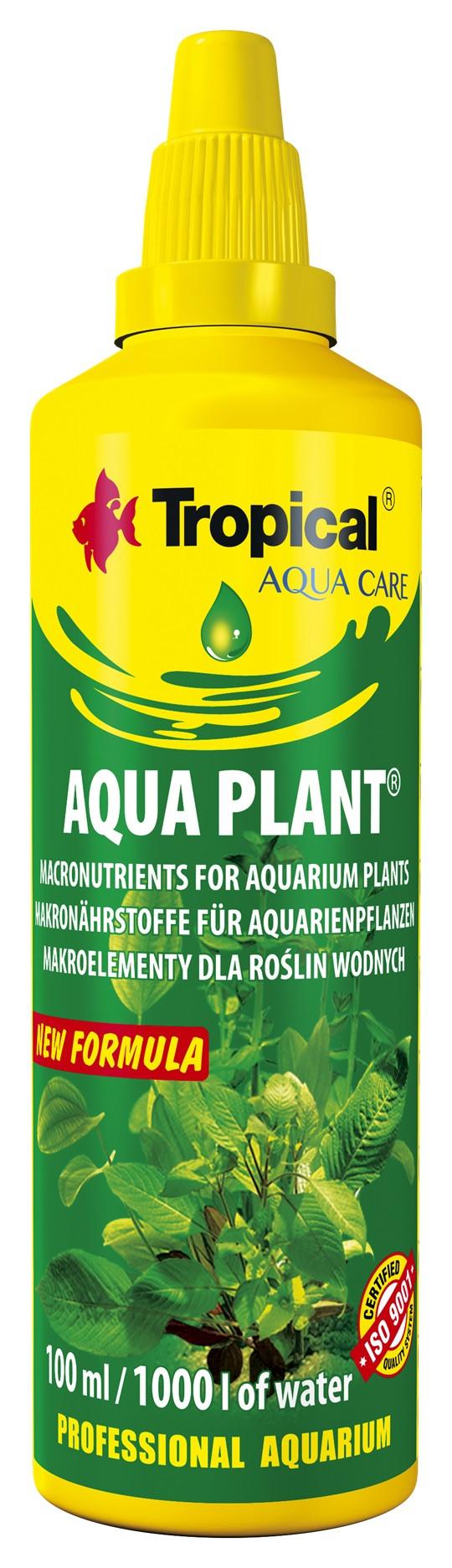 Tropisk vandplante 100 ml
