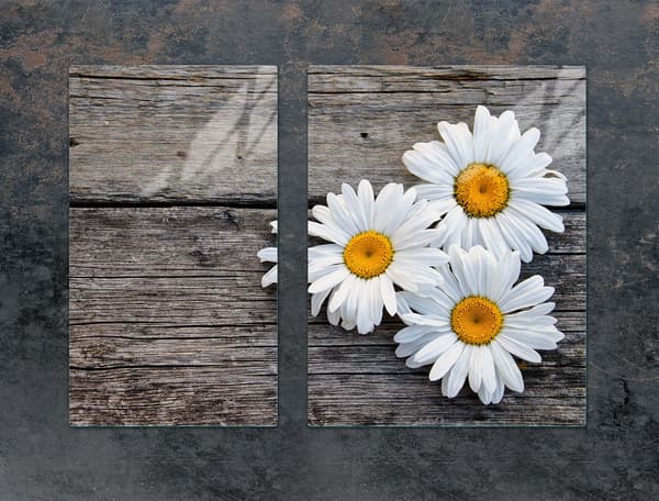 LASINEN SUOJALEVY LIEDELLE 70x52 DAISY