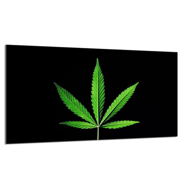 Skyddsplatta i glas för kamin 90x52 blad