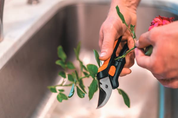 FISKARS SOLID Trädgårdssekatör för att klippa blommor och kvistar - Trådavbitare