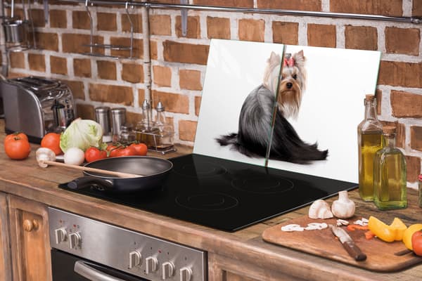 GLASSKYDDSPLÅT 75x52 HUND