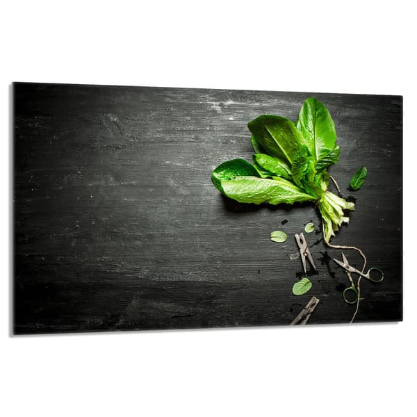 Glasskydd för spishäll 80x52 Basil