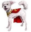 Superman-filmen: Interaktiv krypto