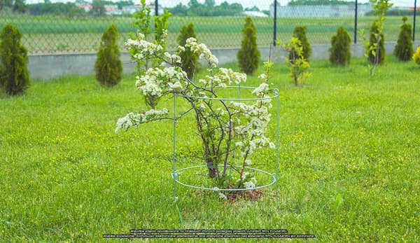 ELGarden blomsterstativ med hjul x2 60