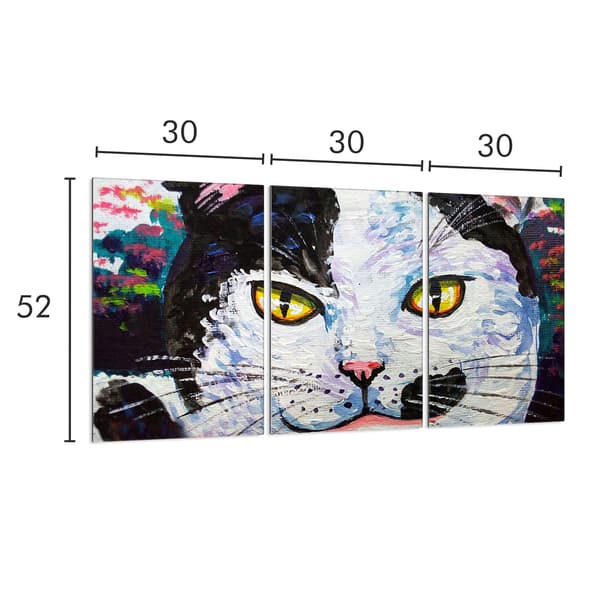 Skyddsplatta i glas för spis 3x30x52