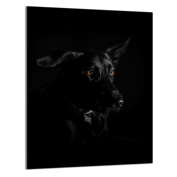LASINEN LEIKKUULAUTA 40x52 Koira