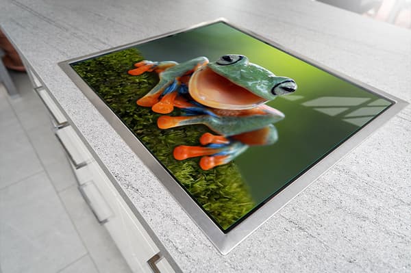 GLASSKYDDSPLÅT FÖR SPIS 70x52 FROG