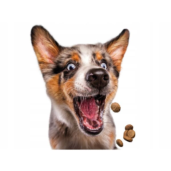 Josera Josidog Ekonomi torrfoder för hundar 15 kg