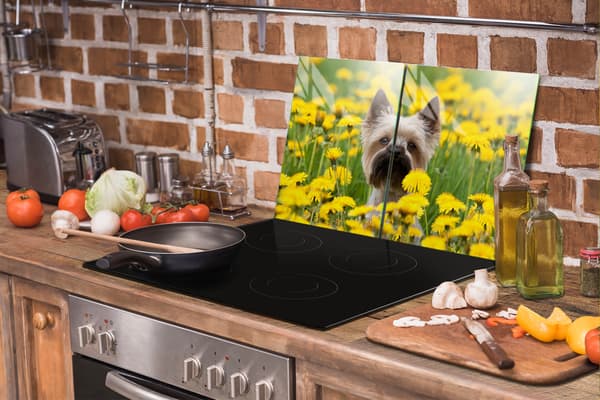 GLASSKYDDSPLÅT FÖR SPIS 85x52 HUND