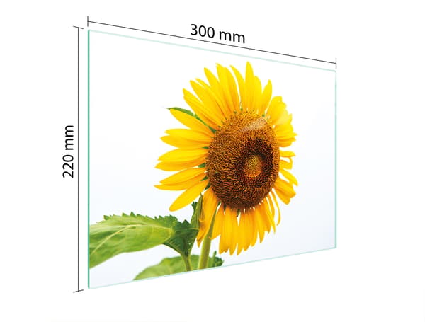 GLAS SKÆREBRÆT 30x22 BLOMST