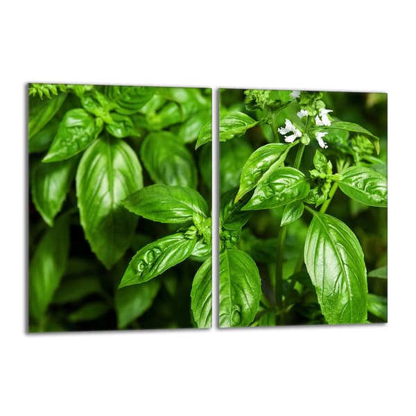 Glasbeskyttelsesplade til komfur 2x40x52 Basil