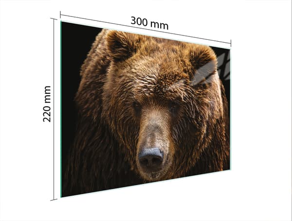 GLASSKÆREBRÆT 30x22 BAMSE
