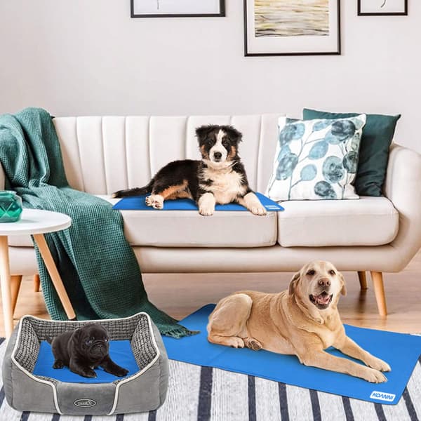 KOANNI KØLEMÅTTE TIL HUNDE- OG KATTESENG 50x40