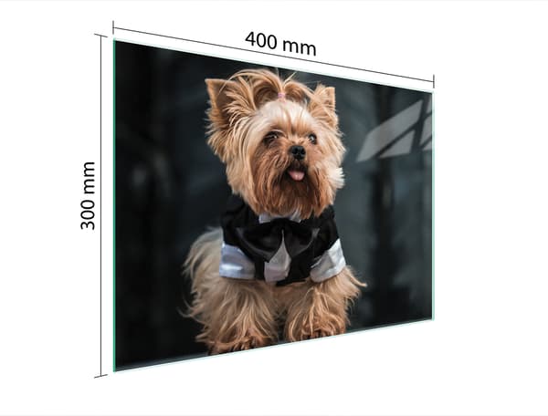 GLAS SKÆREBRÆT 40x30 HUND