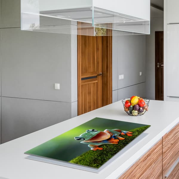 Lasinen suojalevy liedelle 90x52 Frog