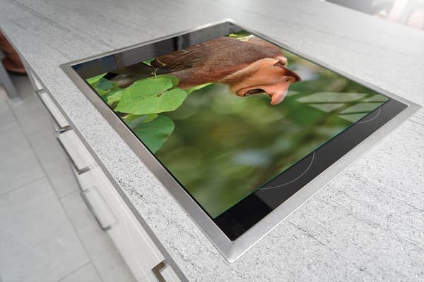 SKÄRBRÄDA I GLAS 52x40 NOSACZ
