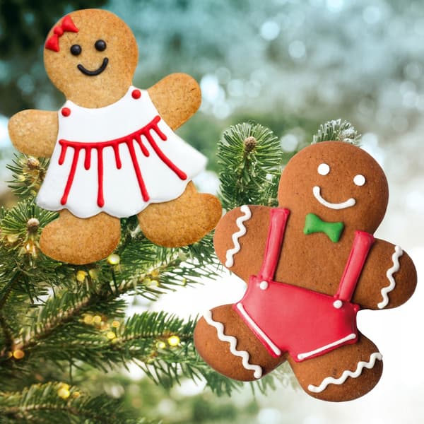 PEPPARKAKA familj JUL kuddset