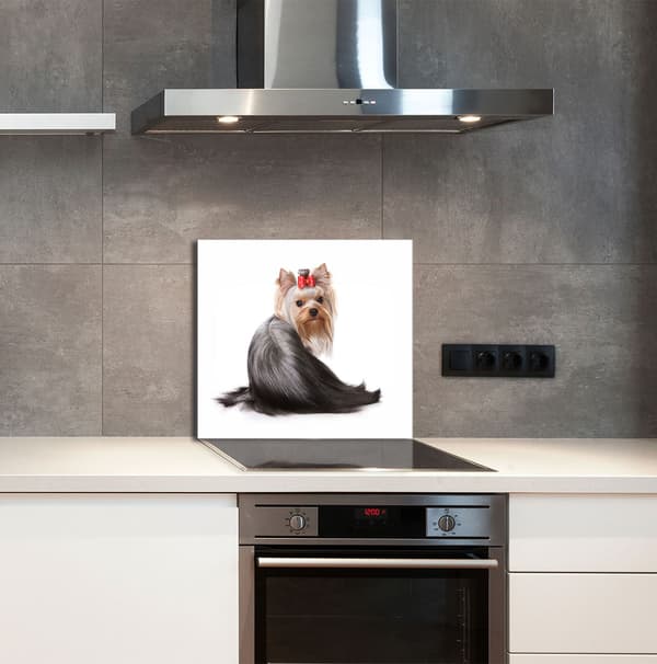 GLASPANEL TIL KØKKEN 65x60 Hund