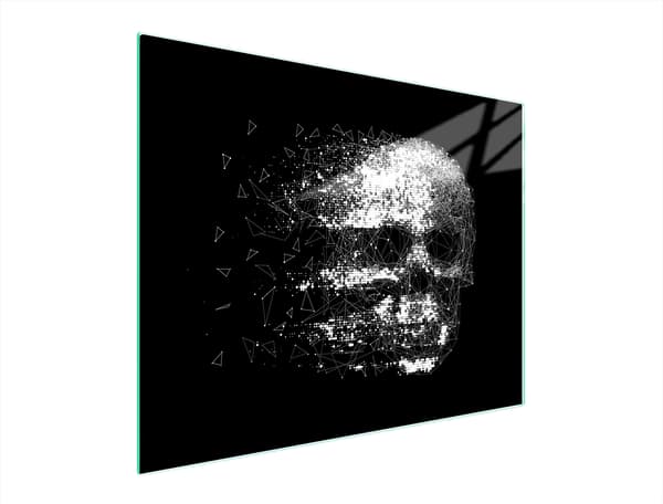 SKÄRBRÄDA I GLAS 52x40 SKALL