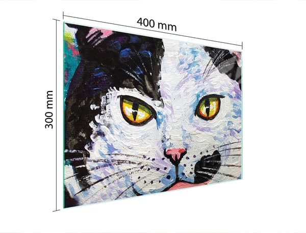 GLAS SKÆREBRÆT 40x30 KAT