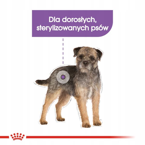 Tørfoder til hunde SHN Mini Sterilised 8 kg