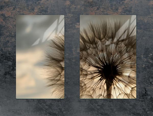 GLASSKYDDSPLATTA FÖR KÖK 65x52 BLOMMA