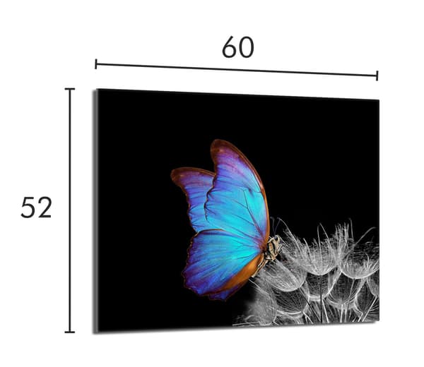 Lasinen suojalevy liedelle 60x52 Butterfly