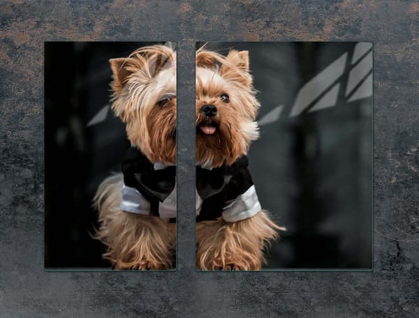 GLASSKYDDSPLÅT FÖR SPIS 70x52 HUND