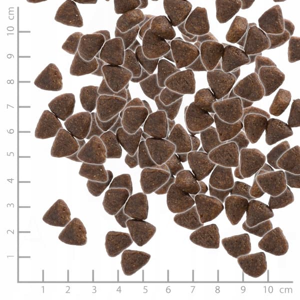 WOLFSBLUT Wild Duck torrfoder för vuxna hundar 12,5 kg
