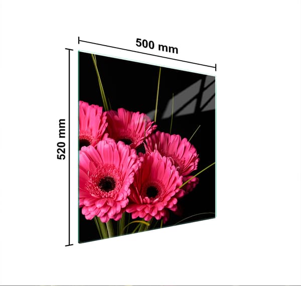 GLASBESKYTTELSESPLADE TIL KOMFUR 50x52 GERBERA
