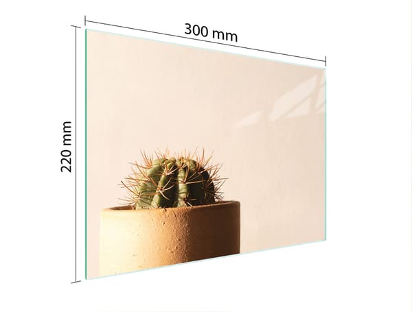 SKÄRBRÄDA I GLAS 30x22 KAKTUS
