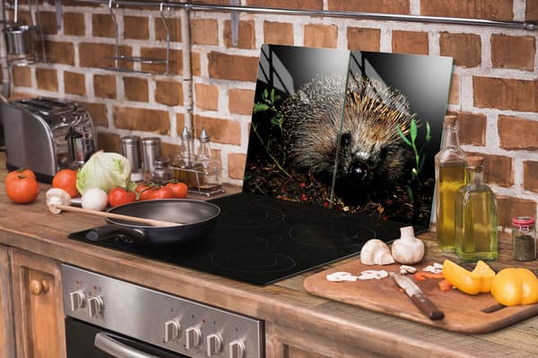GLASSKYDDSPLATTA FÖR KÖK 2x35x52 HEDGEHOG