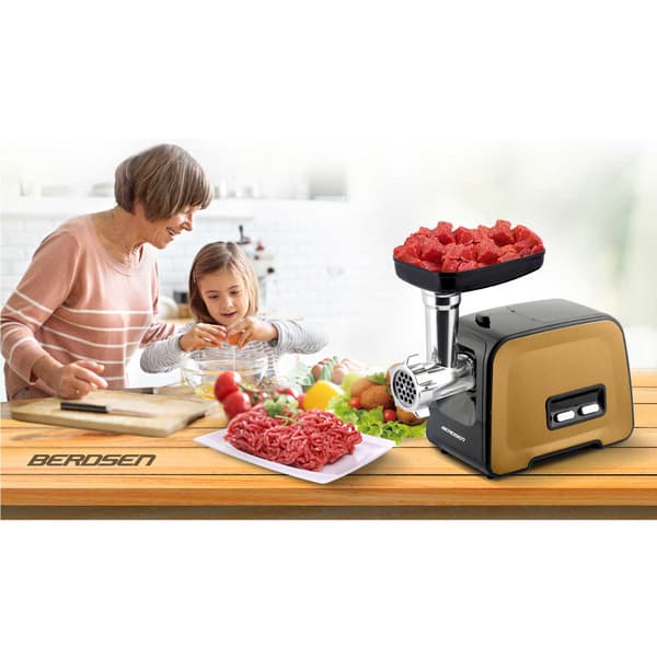 Köttkvarn BD-601B Berdsen 450/1200W