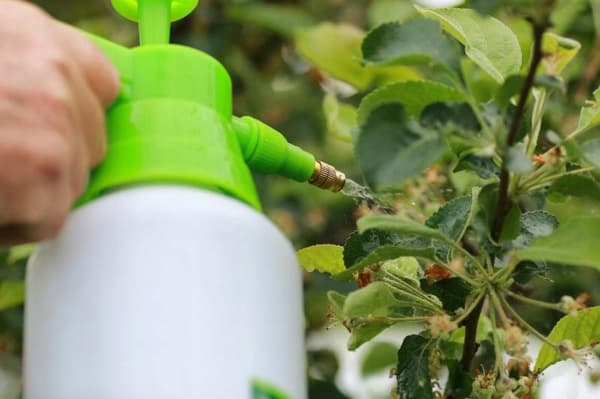 Gardenline burkspruta 1L