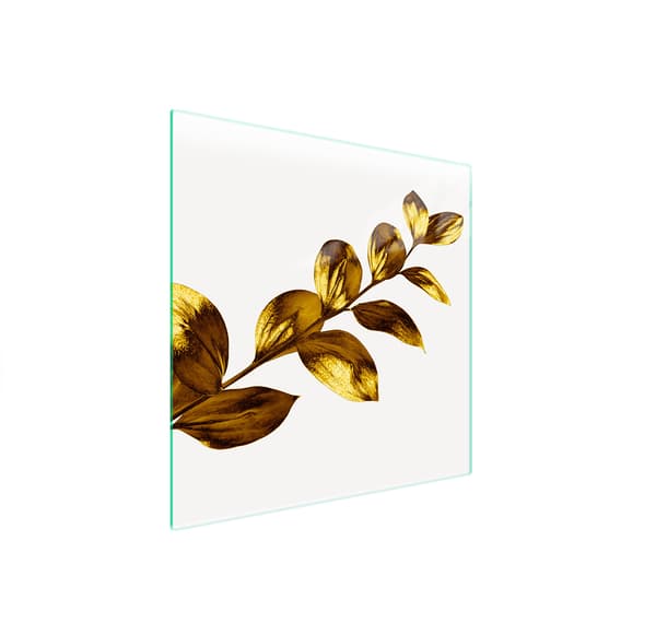 GLASSKYDDSPLÅT FÖR SPIS 50x52 GULD