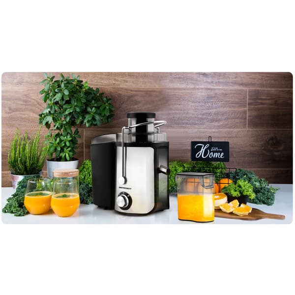 600W BD-750 Berdsen juicer sort