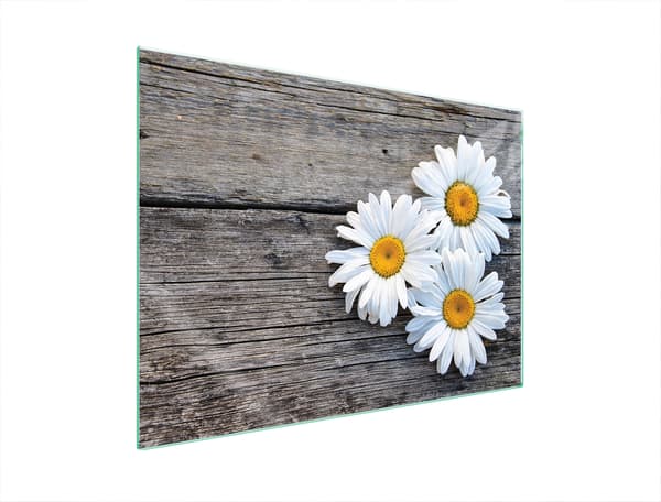 GLASSKYDDSPLÅT FÖR SPIS 70x52 DAISY