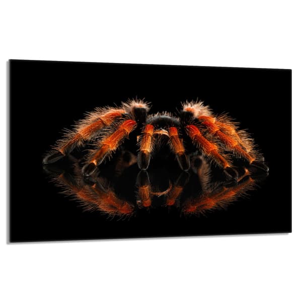 Lasinen suojalevy liedelle 80x52 Spider