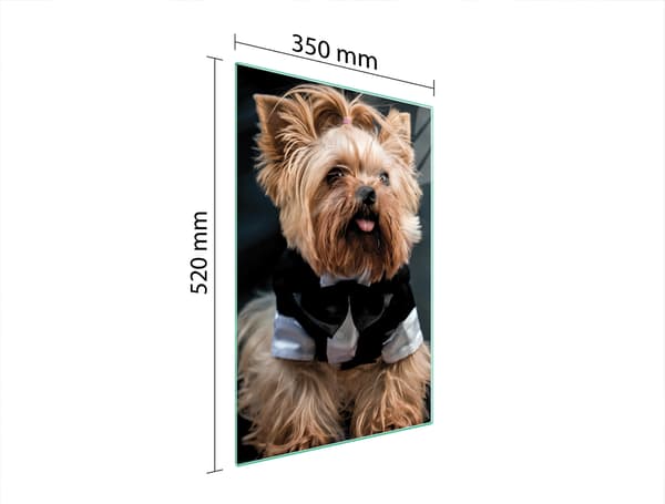 GLAS SKÄRBRÄDA 35x52 HUND