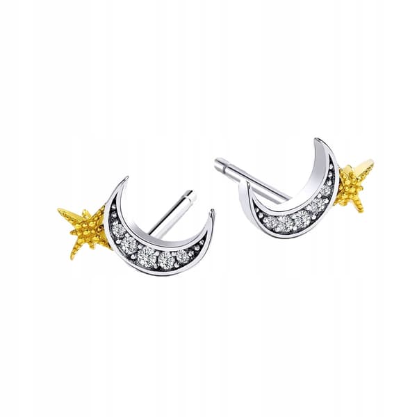 Pendientes de Plata Pendientes de Circonitas Plata 925