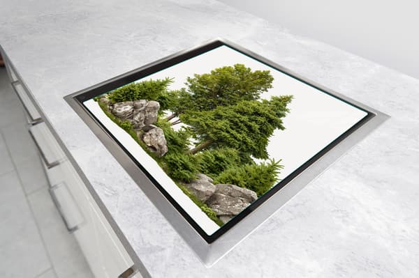 GLASSKYDDSPLÅT FÖR SPIS 50x52 TRÄD
