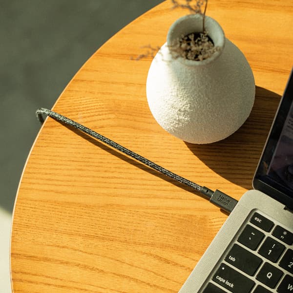 Native Union bæltekabel XL 100W - USB-C - USB-C kabel, 3 m (zebra)