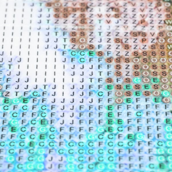 Diamantmaleri broderi 5D diamantmosaik kit heste